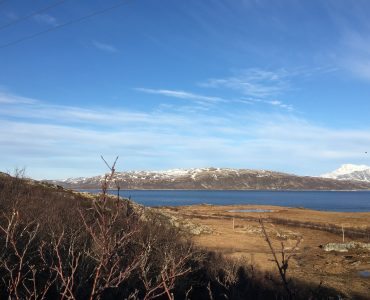 Rebbenesøya bilde 18