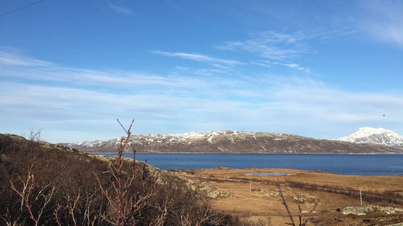 Rebbenesøya bilde 18