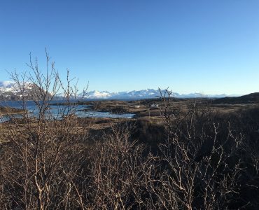 Rebbenesøya bilde 21