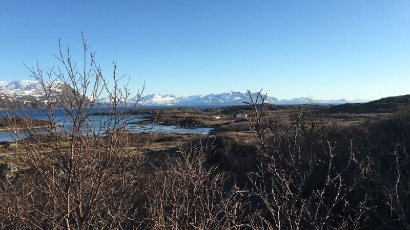 Rebbenesøya bilde 21